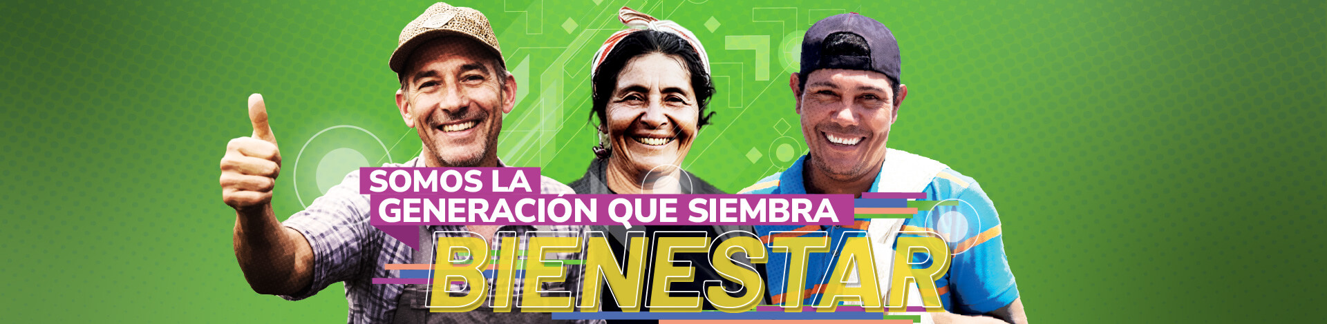 contenido en línea