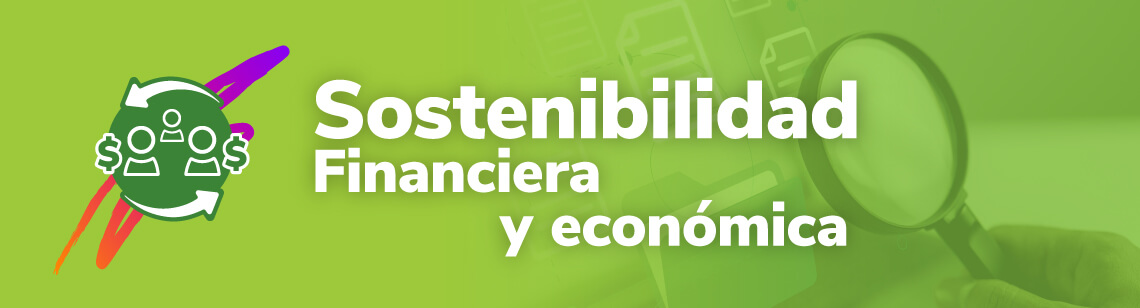 Sostenibilidad financiera y económica
