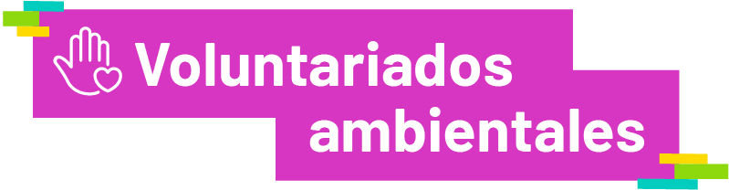 Voluntariado ambiental