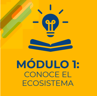 Pilar solidario