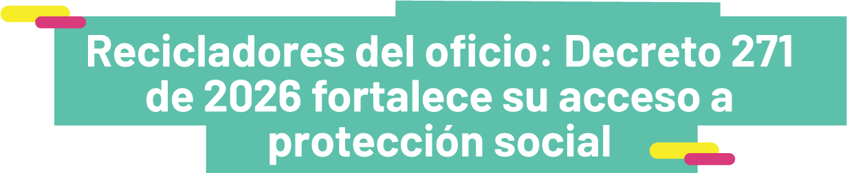 Recicladores del oficio: Decreto 271